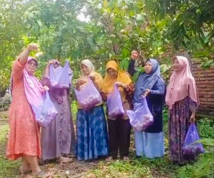 Hebohnya Mamah-mamah Panen Jambu Madu Deli (Dokumentasi pribadi: Isti Yogiswandani)