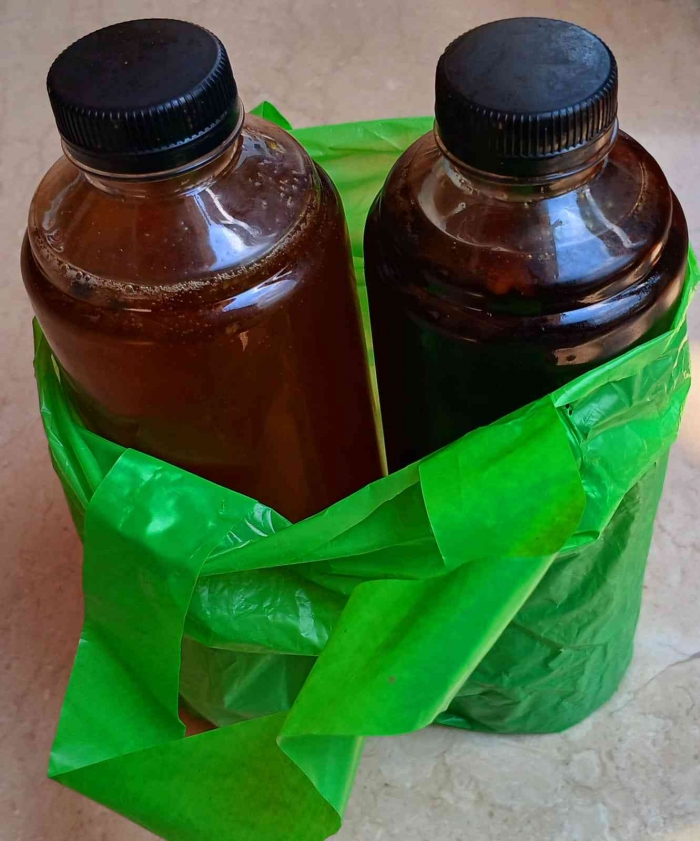 Madu tawon klanceng dan madu lebah (Dokumentasi pribadi: Isti Yogiswandani)