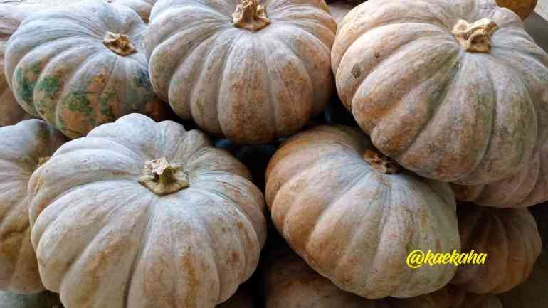 Buah Waluh atau Labu Kuning, Supefood yang Sangat Berpotensi Menjadi Sumber Pangan Bagi Masyarakat | @kaekaha!