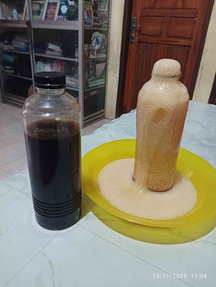 Madu Hitam dan Coklat: Yang satu berbuih, yang satu tidak (Dokumentasi pribadi: Isti Yogiswandani)