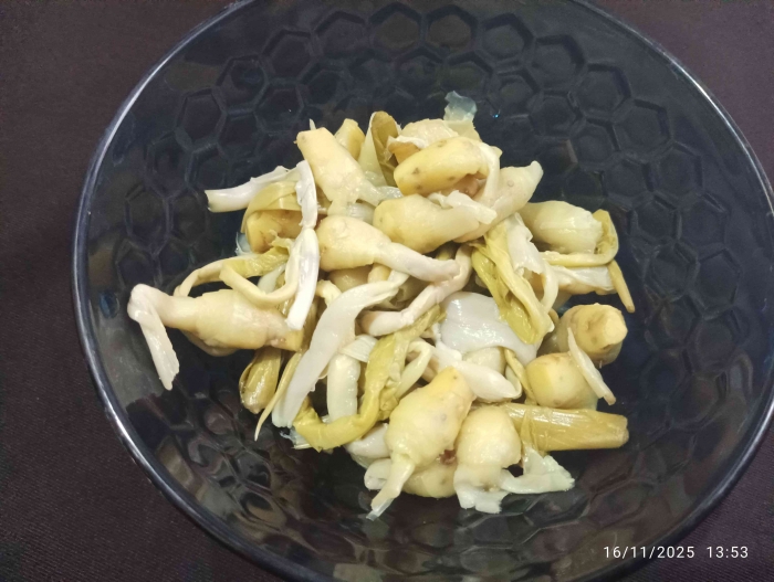 Temu kunci dan batang mudanya: biasa dibuat Bothok, diurap, sayur bening(Dokumentasi pribadi Isti: Yogiswandani)