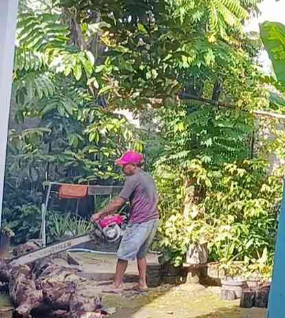 Potong Pohon: Tindakan Preventif Mengamankan Rumah Musim Hujan (Dokumentasi Pribadi: Isti Yogiswandani)