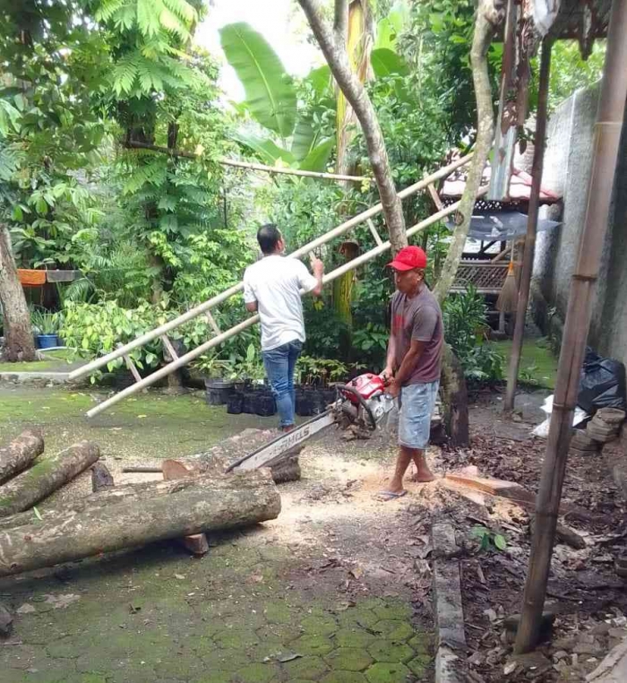 Potong Pohon: Tindakan Preventif Mengamankan Rumah Musim hujan (Dokumentasi pribadi: Isti Yogiswandani)