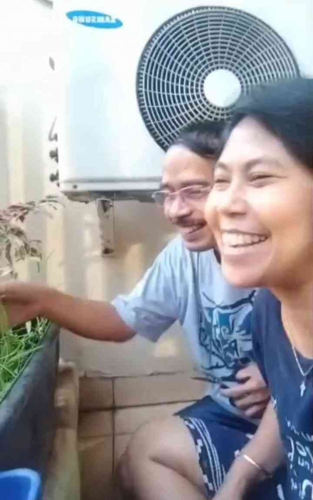 Foto Panen Kangkung Kebun Mini di Balkon. Sumber: Dokumentasi Pribadi