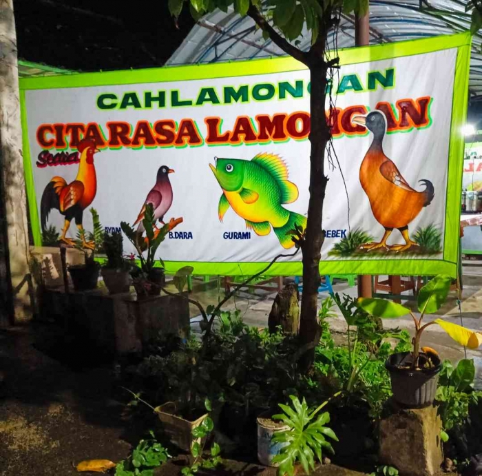 Rahasia Kelezatan Bebek Lamongan: Si Leher Panjang yang Membuat Lidah Bergoyang(Dokumentasi pribadi: Isti Yogiswandani)