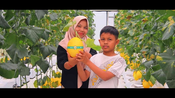 Wisata Petik Melon Alisha Greenhouse Desa Tawangrejo