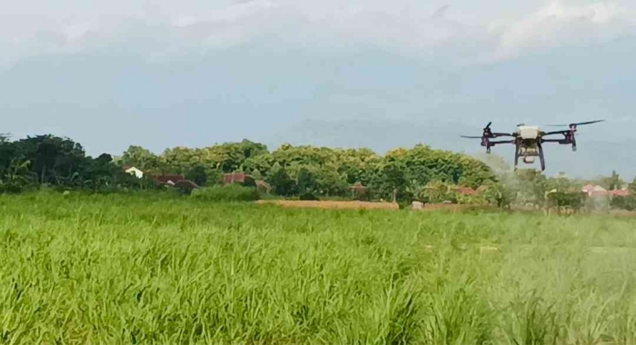 Pemanfaatan drone di dunia pertanian (Dokumentasi pribadi: Isti Yogiswandani)