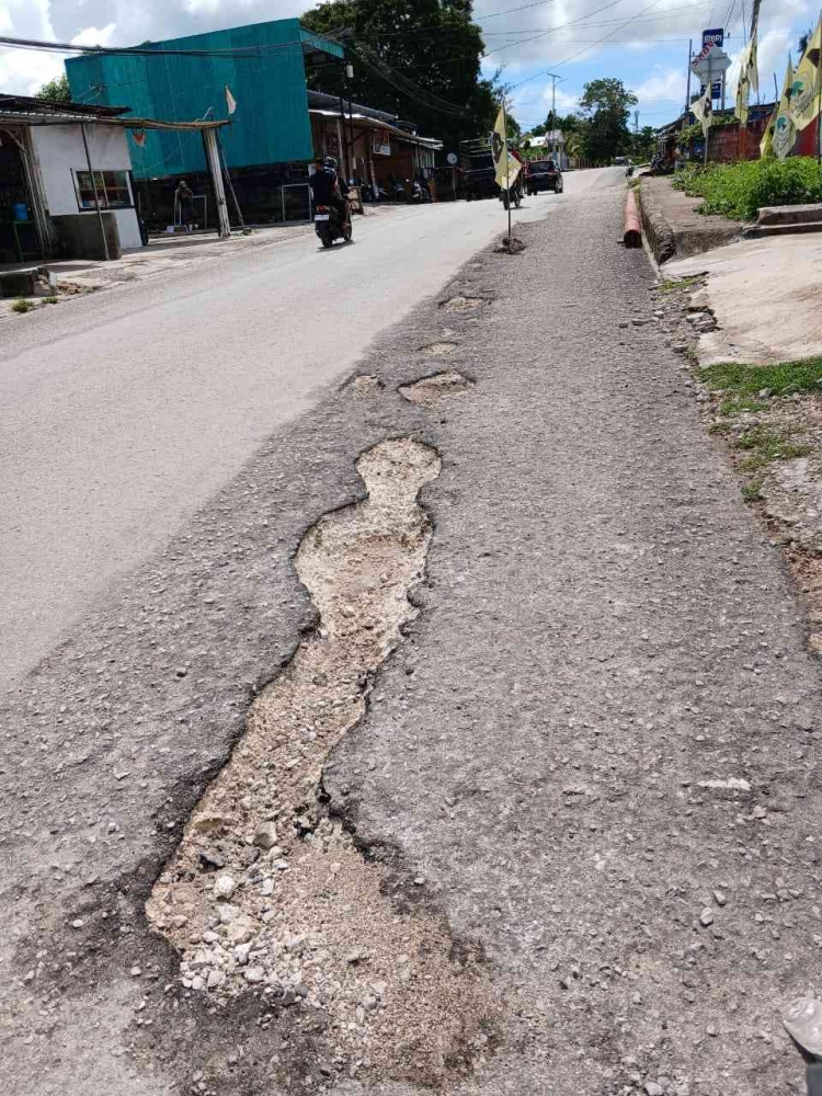 Lubang Jalan dan Bendera Partai: Simbol yang Tak Sengaja Bicara Halaman ...