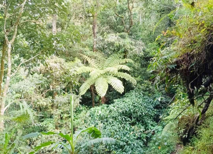 Jalan mana lagi yang harus dilalui (Dokumentasi pribadi: Isti Yogiswandani)