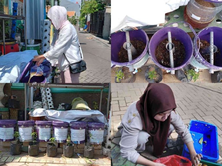 Do Rong Tembok Mahasiswa Biologi UNESA Dorong Inovasi Pupuk Organik Berbasis Limbah ...
