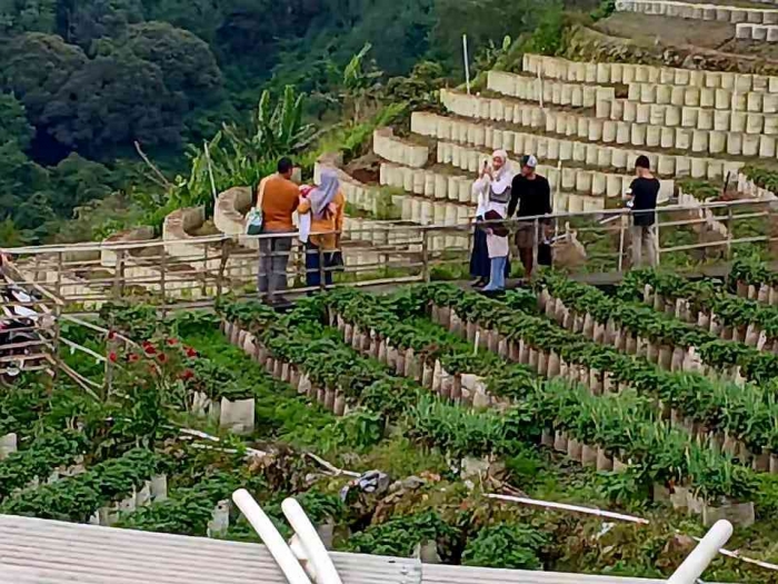 Menatap Tirto Gumarang dari Gardu Pandang(Dokumentasi pribadi: Isti Yogiswandani)