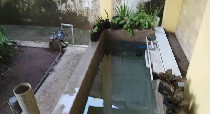 Resolusi 2026: Merevitalisasi Kolam Ikan yang Terbengkalai(Dokumentasi pribadi: Isti Yogiswandani)