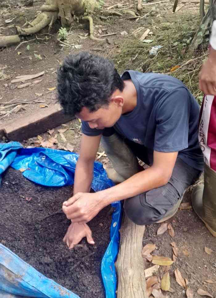 Mengecek kompos untuk memastikan proses pengomposan berjalan dengan baik (dok: Gregorius Nafanu)