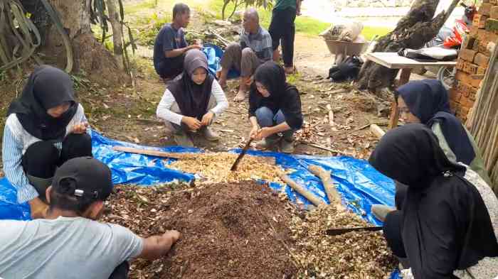 Siswa dan siswi SMKN 1 Baradatu praktik membuat pupuk kompos berkualitas berbahan kulit kopi, gedebog pisang, gamal, kohe (dok Gregorius Nafanu)