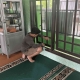 Membersihkan Kaca Bagian Dalam Masjid