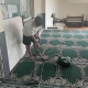 Membersihkan Debu-Debu di Karpet