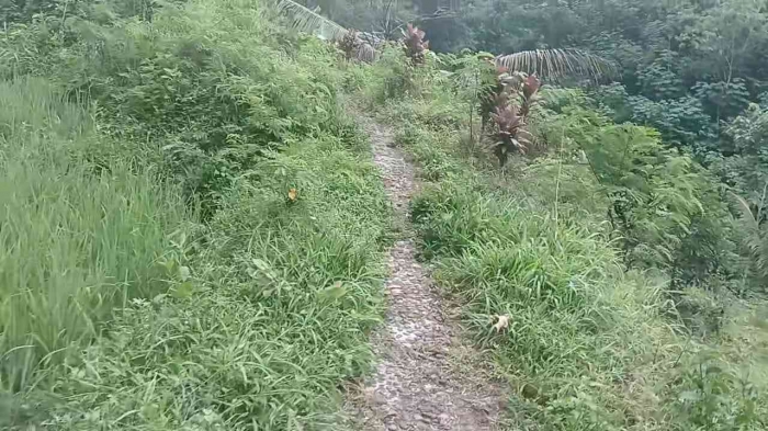 Perjalanan Tak Sengaja Menuju Air Terjun Widodaren(Dokumentasi pribadi: Isti Yogiswandani)