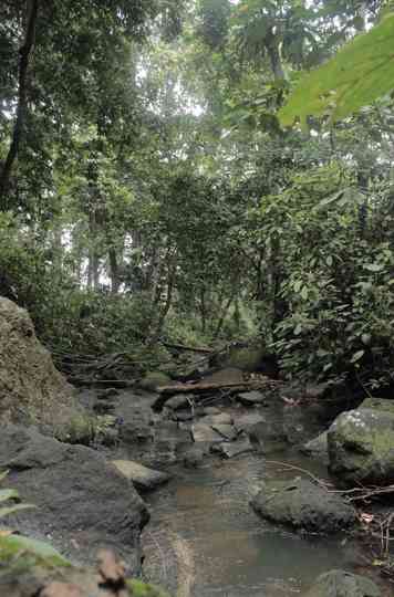 Foto Wisata di Jorong Taratak Sungai Sungkai
