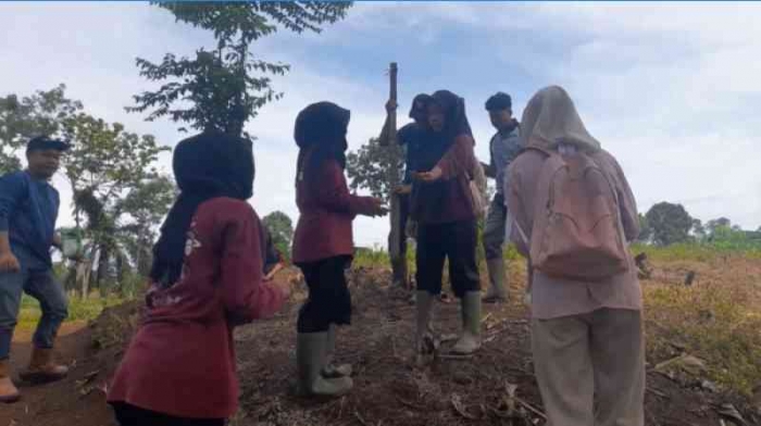 Bertanam jagung metode TOT menggunakan tugal ala siswa SMKN1 Baradatu, Way Kanan (dok: Gregorius Nafanu)