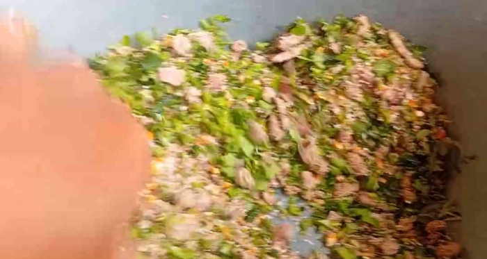 Pakan Fermentasi, dok Pribadi