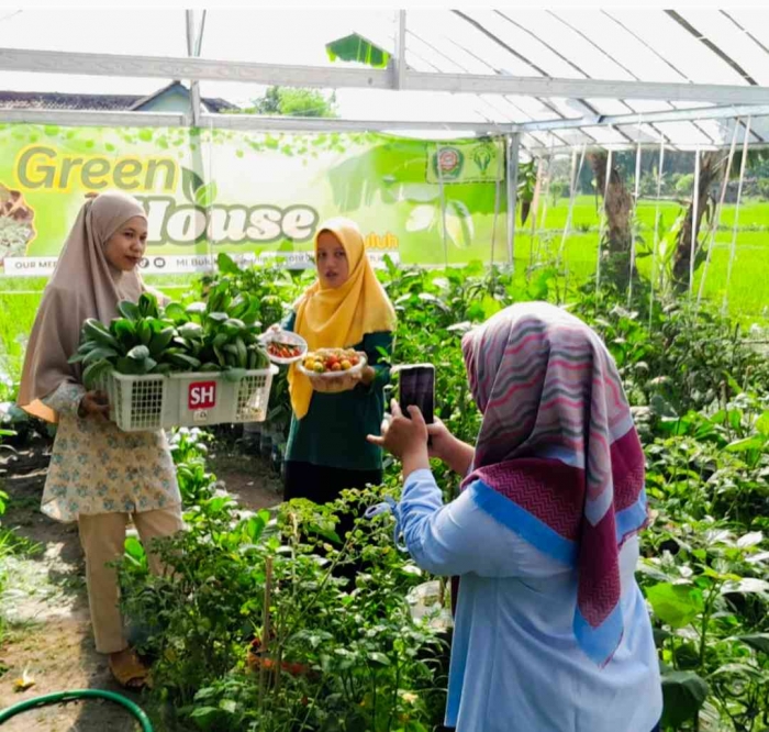 Green house pendukung Ecopreneur MI Bahrul Ulum Buluh (Dokumentasi MI Bahrul Ulum Buluh)