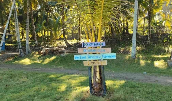 Dokumen pribadi