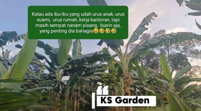 KS GardenÂ