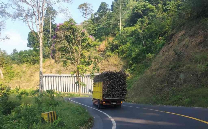 Talud model baru. (Dokumen pribadi)