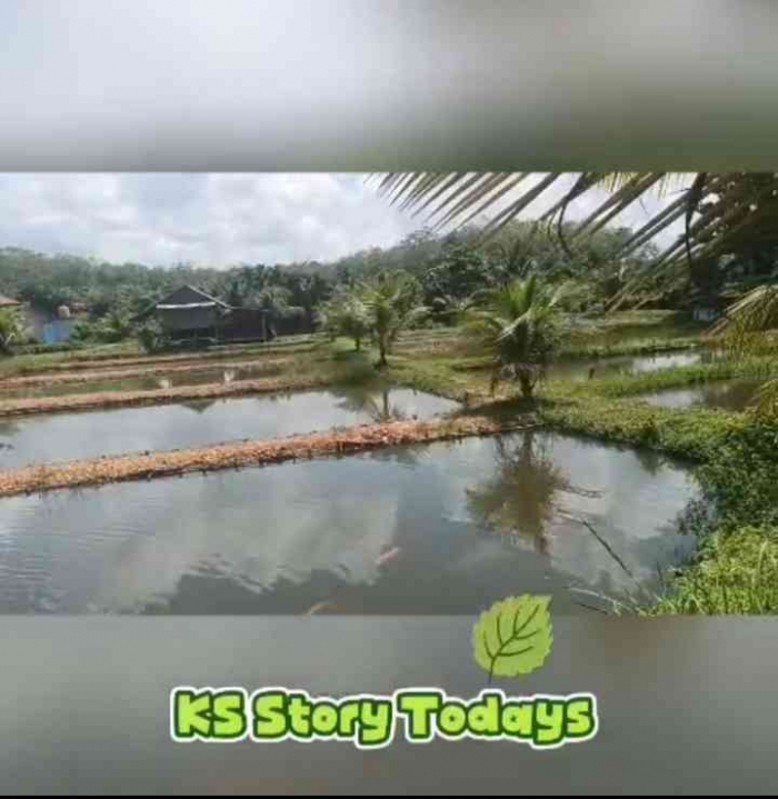 Punya Orang, Bukan Punya Kita