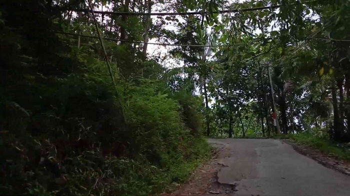Potret jalan Tegalombo-Tulakan di Pacitan yang berliku naik turun (dokumentasi pribadi)