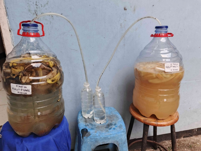 Fermentasi kulit pisang dan kulit melon. (Sumber foto: Jandris_Sky)