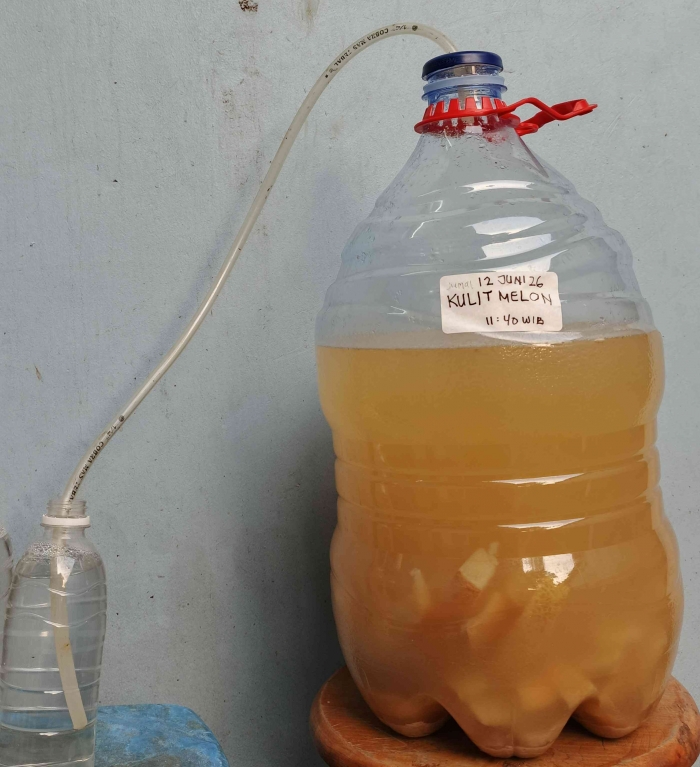 Fermentasi kulit melon. (Sumber foto: Jandris_Sky)