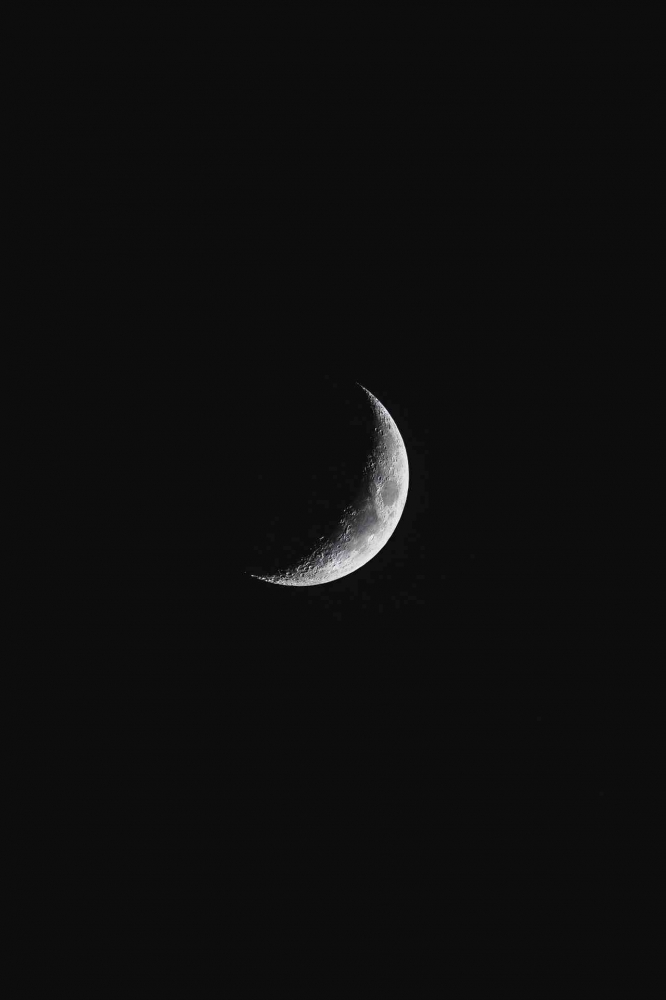 Gambar oleh jackdanlere dari Pixabay