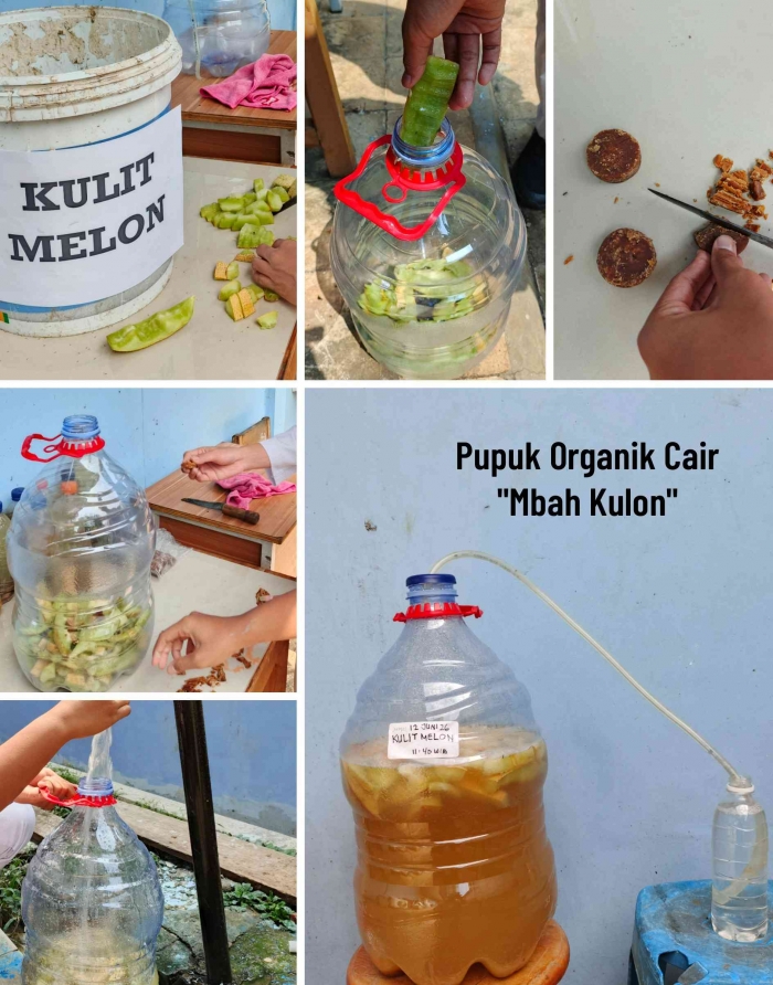 Pemanfaatan limbah kulit melon untuk dijadikan Pupuk Organik Cair. (Sumber foto: Jandris_Sky)
