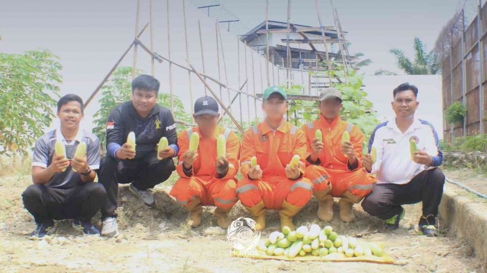 dok. hasil panen timun segar di area branggang rutan pasangkayu