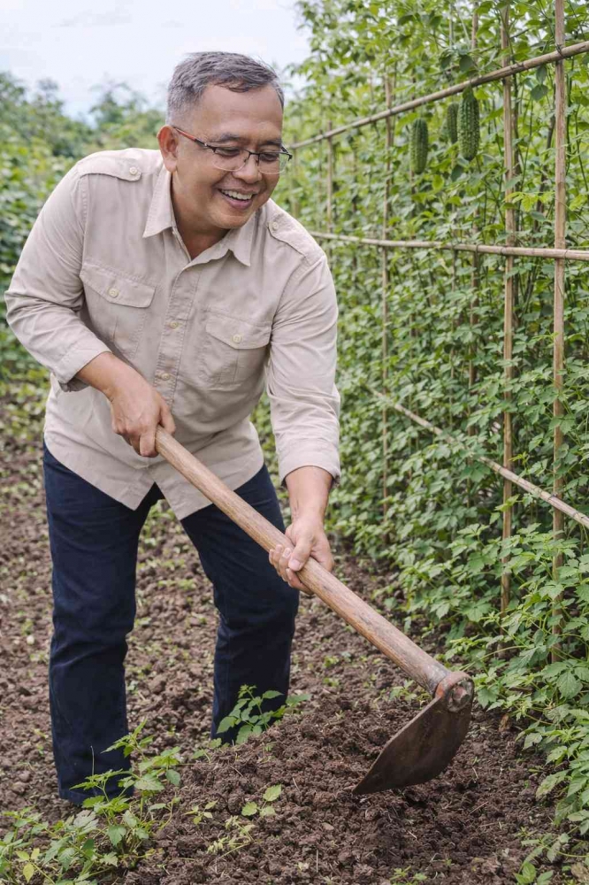 Keterbatasan lahan perkotaan, vertikultur membuktikan setiap sudut rumah memiliki potensi menjadi sumber pangan produktif. (Sumber foto: Jandris_Sky)
