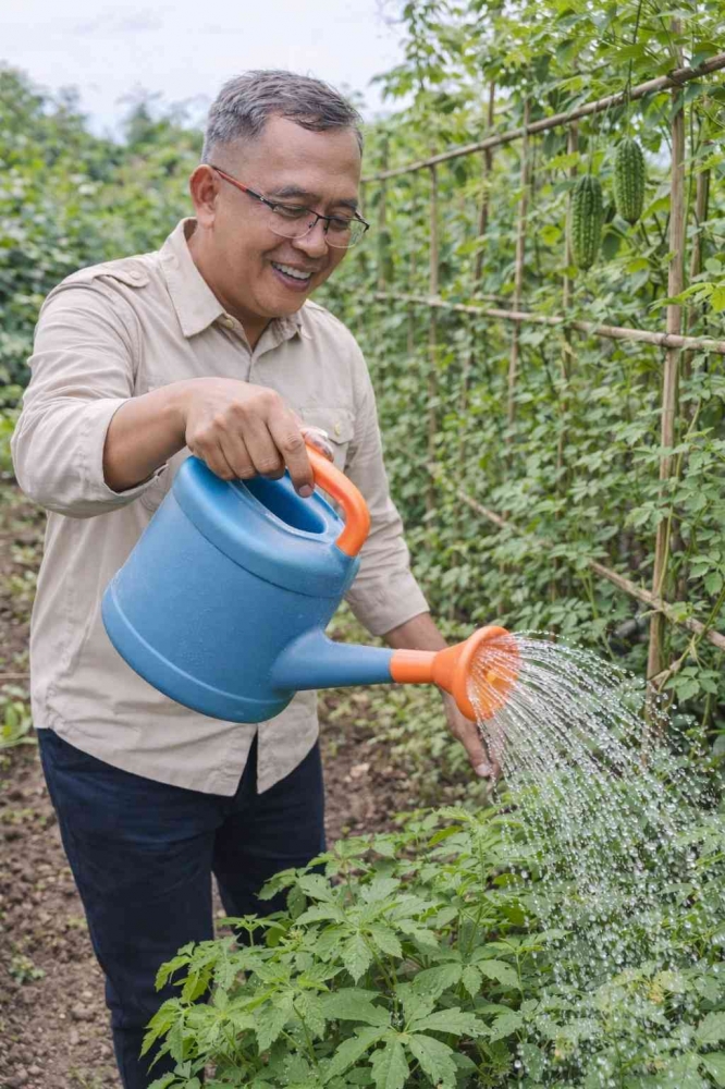 Keterbatasan lahan perkotaan, vertikultur membuktikan setiap sudut rumah memiliki potensi menjadi sumber pangan produktif. (Sumber foto: Jandris_Sky)