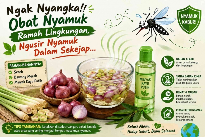 Obat nyamuk ramah lingkungan, ngusir nyamuk dalam sekejap. (Sumber foto: Jandris_Sky/Gemini)