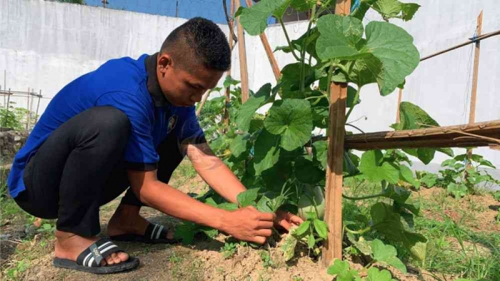 Warga Binaan melakukan perawatan diarea branggang Rutan Pasangkayu