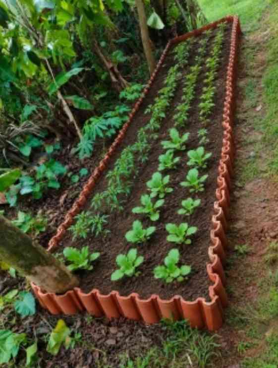 Genteng bekas disulap menjadi raised bed untuk kebun sederhana, produktif, dan ramah lingkungan. (Sumber foto: Jandris_Sky)