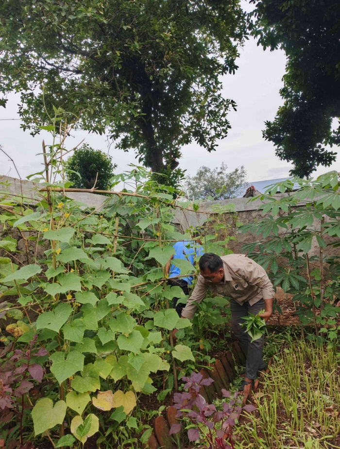 Merawat tanaman dari benih sampai panen, rasanya sayang sekali jika sayuran tersebut terbuang sia-sia. (Sumber foto: Jandris_Sky)