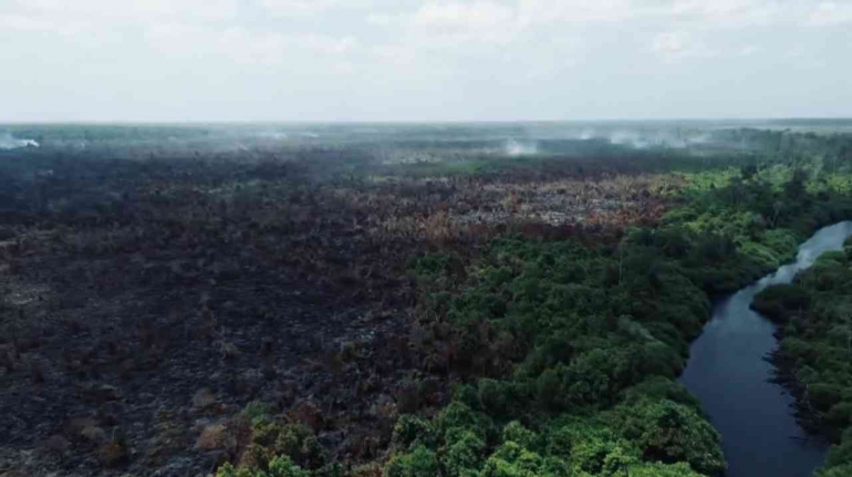 Api yang membakar hutan (sumber: Balai Taman Nasional Tanjung Puting)