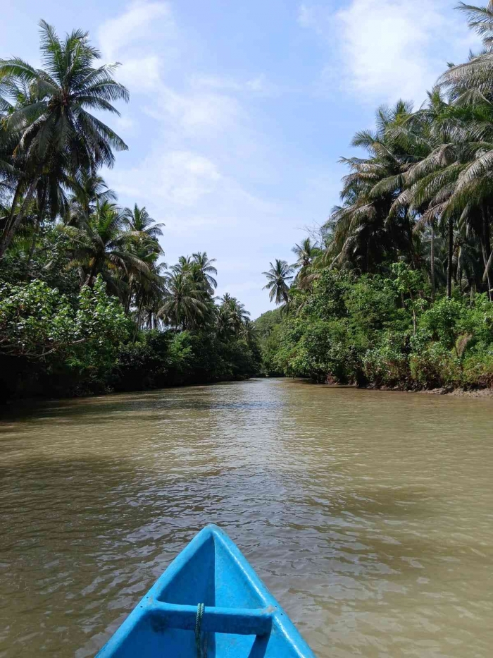 Potret sungai Maron yang sejuk dan memanjakan mata (dokumentasi pribadi)