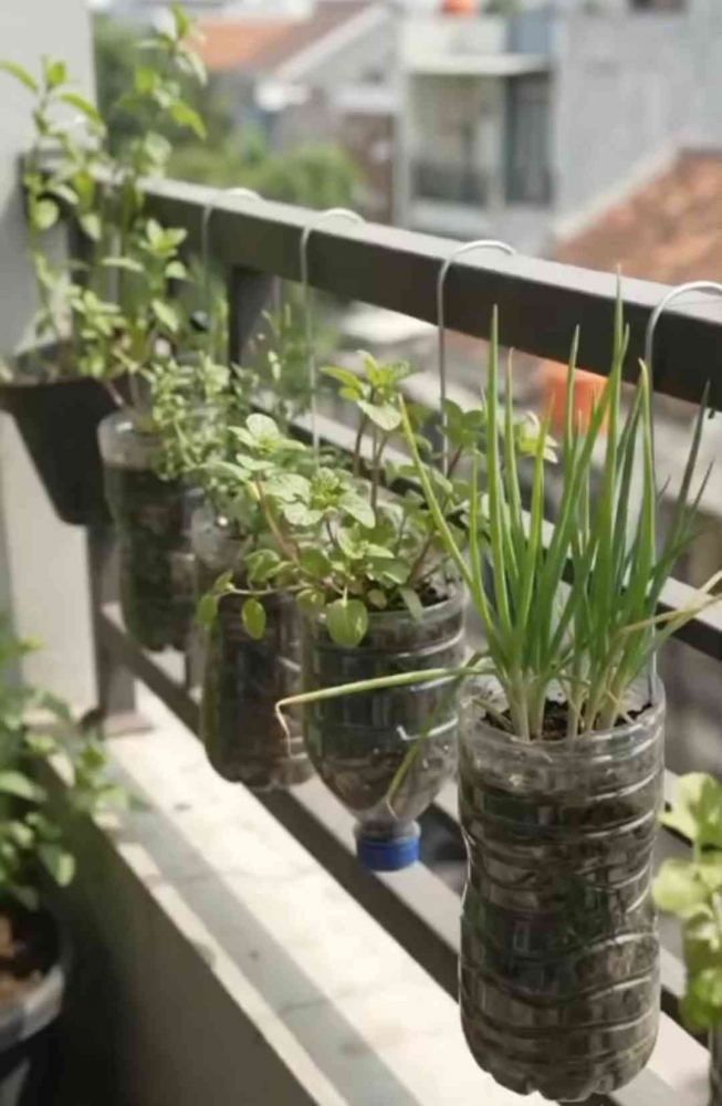 Tidak perlu langsung membuat kebun besar. Cukup mulai dari beberapa pot terlebih dahulu. (Sumber foto: Jandris_Sky)
