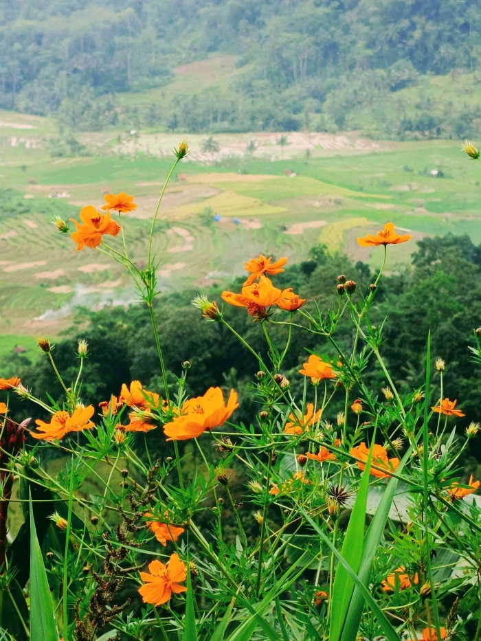 Panorama keindahan pemandangan alam di Bukit Datar Gandul. (Sumber foto: Jandris_Sky)