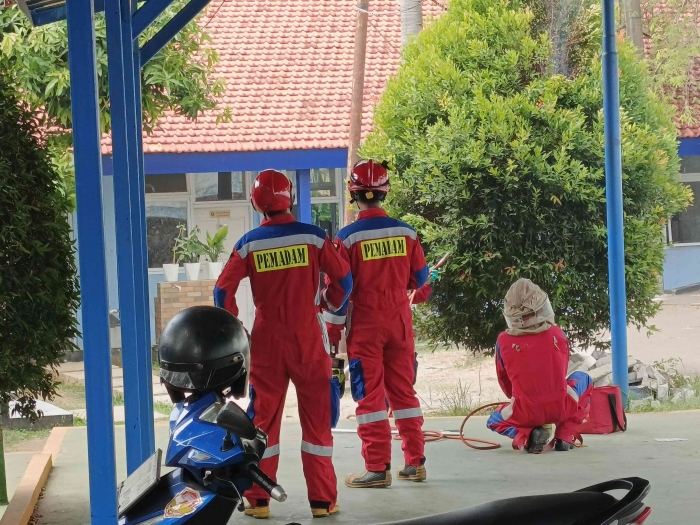 Kalau menemukan sarang tawon Vespa di sekitar rumah, jangan asal bertindak. (Sumber foto: Jandris_Sky)