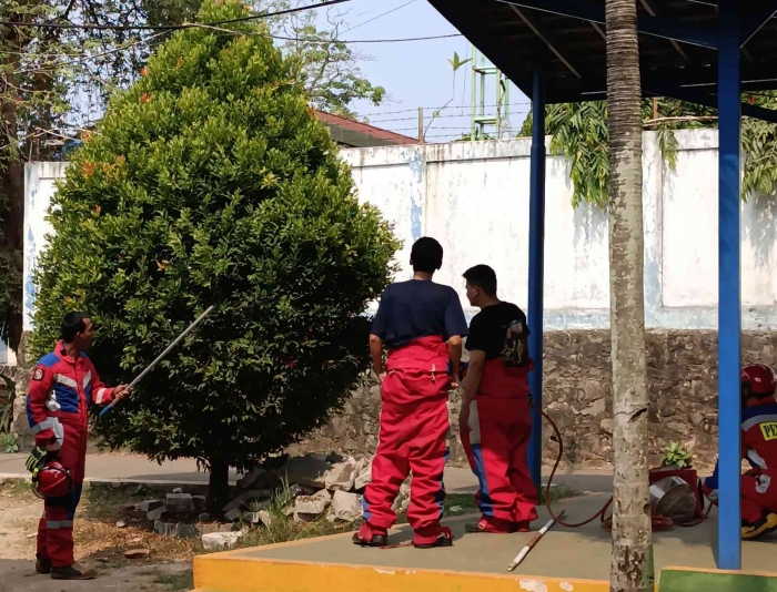 Petugas pemadam kebakaran sedang melakukan pengamatan (Sumber foto: Jandris_Sky)