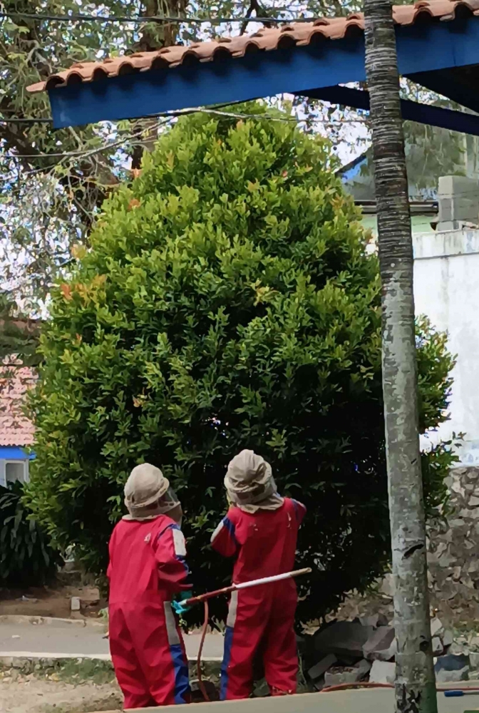 Petugas pemadam kebakaran sedang melakukan identifikasi sarang tawon Vespa. (Sumber foto: Jandris_Sky)