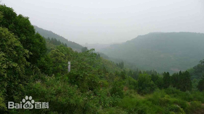 Gaoyuan Mausoleum, the mausoleum of Emperor Xuan of Jin, known as Sima Yi, Cao Cao Prime Minister also as a founder Jin Dynasty of China. It is located on Shouyang Mountain in Beimang, Yanshi District, Luoyang City. It is the mausoleum of Sima Yi. In 251 AD, Sima Yi was buried on Shouyang Mountain in Luoyang, and his mausoleum was later called