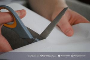 Daniel 2025 wellington palsu